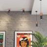 Потолочный светильник ODEON LIGHT DUETTA 3583/1C